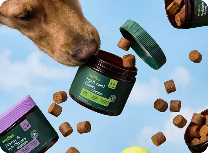 Hip & Joint Chews